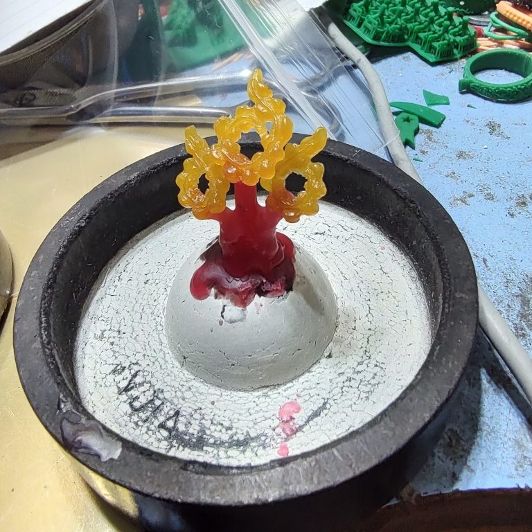 IMG_20221107_090436342_HDR_2