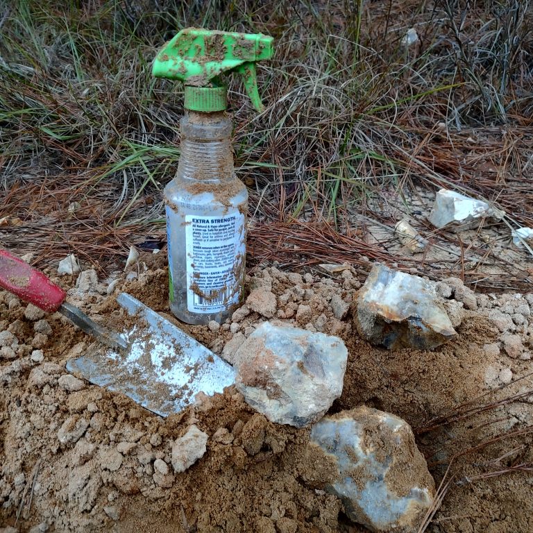 IMG_20221126_171135065_HDR_2